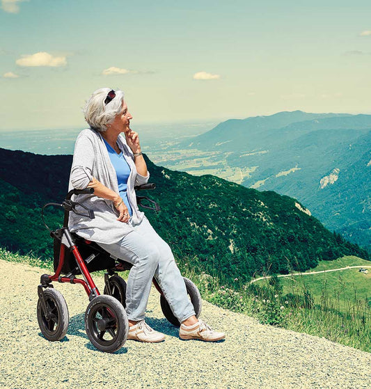 Gelände-Rollator DIETZ TAiMA XC